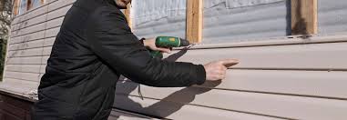 Best Custom Trim and Detailing for Siding  in Vandalia, IL